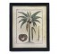 PRINT-18X22-COCONUT PALM