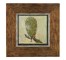 PRINT-20"SQ-HYDROIDE LEAF