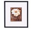 PRINT-17X19-WHITE POPPY/BRN BA