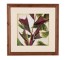 PRINT-RED & GREEN PALM LEAVES