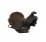 SADDLE-WESTERN-SM-BLK/BRWN-BRASS DETAILING