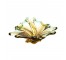 Carnival Glass Dish -Brwn Leaf