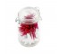 Mason Jar W/Red&Wht Stars