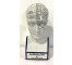 White Phrenology Head Sectioned Labeled