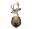 RAF Deer 10pt Antlers