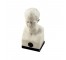 BUST- Napoleon White Marble