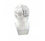 BUST- White Phrenology Bust w/Blue Accents