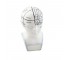 BUST- White Phrenology Bust w/Blue Accents