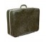 SUITCASE-Dark Green Large "Hercalyte" Suitcase