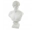 BUST-David-Plaster-23.5"H