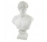 BUST-David-Plaster-23.5"H