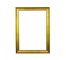 FRAME-Simple Gold Frame