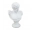 BUST-White Ceramic David