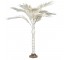 ROYAL PALM TREE-Natural Canvas W/Natural Burlap Base