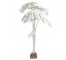 PALM TREE-Natural Canvas Philodendron