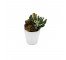 FAUX SUCCULANT-Assorted Succulants in White Pot