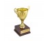 GOLD CUP TROPHY-"Life Time Achievement Award..."