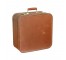 LUGGAGE-Vintage Carry On-"Lady Baltimore"