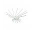 SCULPTURE-Small White Sea Urchin