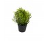 PLANT-Artificial Potted-Indoor