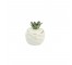 CANDLE-White Ceramic Pineapple W/Lid