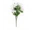 FLOWER-White Pointsetta Bouquet