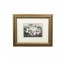 FLORAL PRINT-(2) Gardenias in Gold Frame W/Creme  Mat