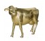 GOLD COW-Life Size