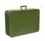 SUITCASE-Medium Green Vinyl