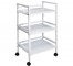 CART- (3)Tier Metal Rolling Cart