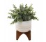 PLANT-Faux Eucalyptus Plant in Ceramic Pot W/Wooden Stand