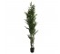 FAUX BAMBOO TREE-(6')Black Pot W/Green Trunk