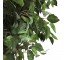 FAUX CAMELLIA TREE-(7'5")Toothed Leaf, Triple Twist Trunk