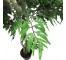 FAUX ARALIA TREE-(6'5") Black Pot