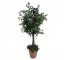 FAUX TREE-(6'5") Fichus In Faux Terracotta Pot