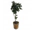 FAUX TREE-(5') Wood Slatted Pot W/Metal Bands