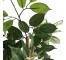 FAUX TREE-Double Trunk Ficus W/Faux Terracotta Pot