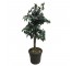 FAUX TREE-(5')Ficus W/Black Plastic Pot