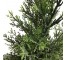 FAUX TREE-(4') Cedar Fir Tree W/Green Plastic Pot