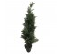 FAUX TREE-(4') Cedar Fir Tree W/Green Plastic Pot