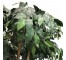 FAUX TREE-(6'5")Fichus W/Wicker Basket & Ivy