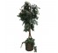 FAUX TREE-(6'5")Fichus W/Wicker Basket & Ivy