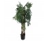 FAUX TREE-(5')Phoenix Palm W/Black Plastic Pot