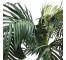 FAUX TREE-(5') Golden Cane Palm Tree W/Black Pot