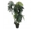 FAUX TREE-(5') Golden Cane Palm Tree W/Black Pot