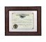 DIPLOMA-Attorney/Counselor of USA