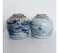 GINGER JAR-Antique Chinese Blue & White Ginger Jar