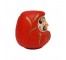 FIGURINE-Red Japanese Daruma Piggy Bank