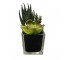 FAUX PLANT-Hedgehog Aloe & Echeveria Succulent
