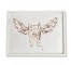 FRAMED ART-Pig w/Wings